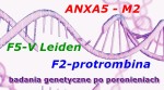 Zakrzepica Pakiet#25 po poronieniach (2xANXA5,F5-VLeiden, MTHFR, F2-Pt, PAI1, R2F5)