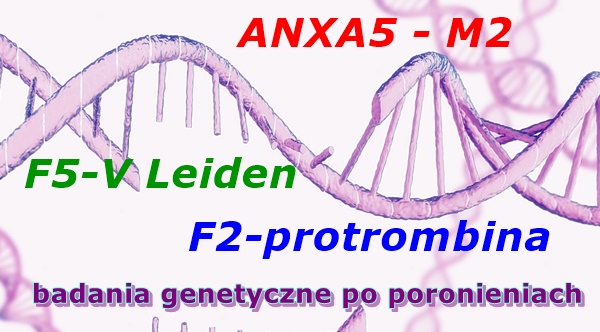 Zakrzepica Pakiet#25 po poronieniach (2xANXA5,F5-VLeiden, MTHFR, F2-Pt, PAI1, R2F5)