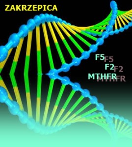 Zakrzepica PAKIET#22-6 mutacji: PtF2,VLeidenF5, MTHFR, PAI1+R2 (1)