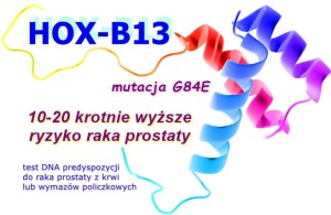 HOXB13 G84E -dziedziczny rak prostaty