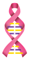 BrestCancer-5.png