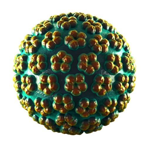 HPV-PHX50497509.jpg