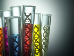 Tiopuryny- TPMT -metabolizm merkaptopuryny i tioguaniny