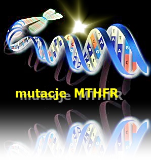 MTHFR - polimorfizmy 677C>T oraz 1298A>C 