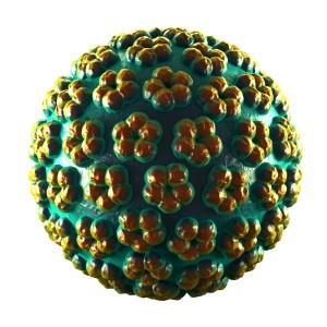 HPV HR test PCR  (HPV16+HPV18+HPV45)
