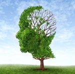 ApoE - choroba Alzheimera, miażdżyca