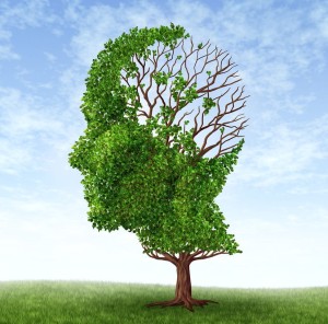 ApoE - choroba Alzheimera, miażdżyca