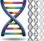 CYP2C9- allele *2*3 (warfaryna, siponimod)