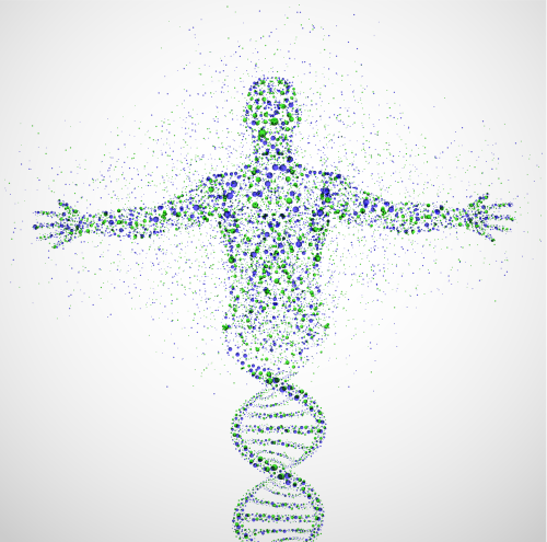 vectorstock_881632.png
