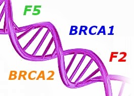 BRCA1+BRCA2+zakrzepica F2/F5+MTHFR -PAKIET#24 - Bezpieczna terapia hormonalna
